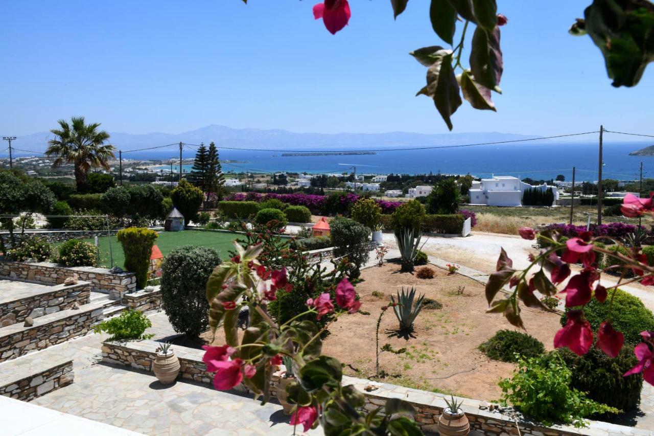 Dryades Family Hotel Drios Exterior photo